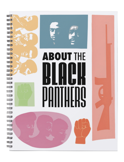 About the Black Panthers